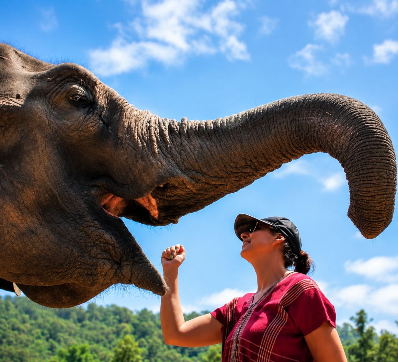 Guest with a rescued elephant