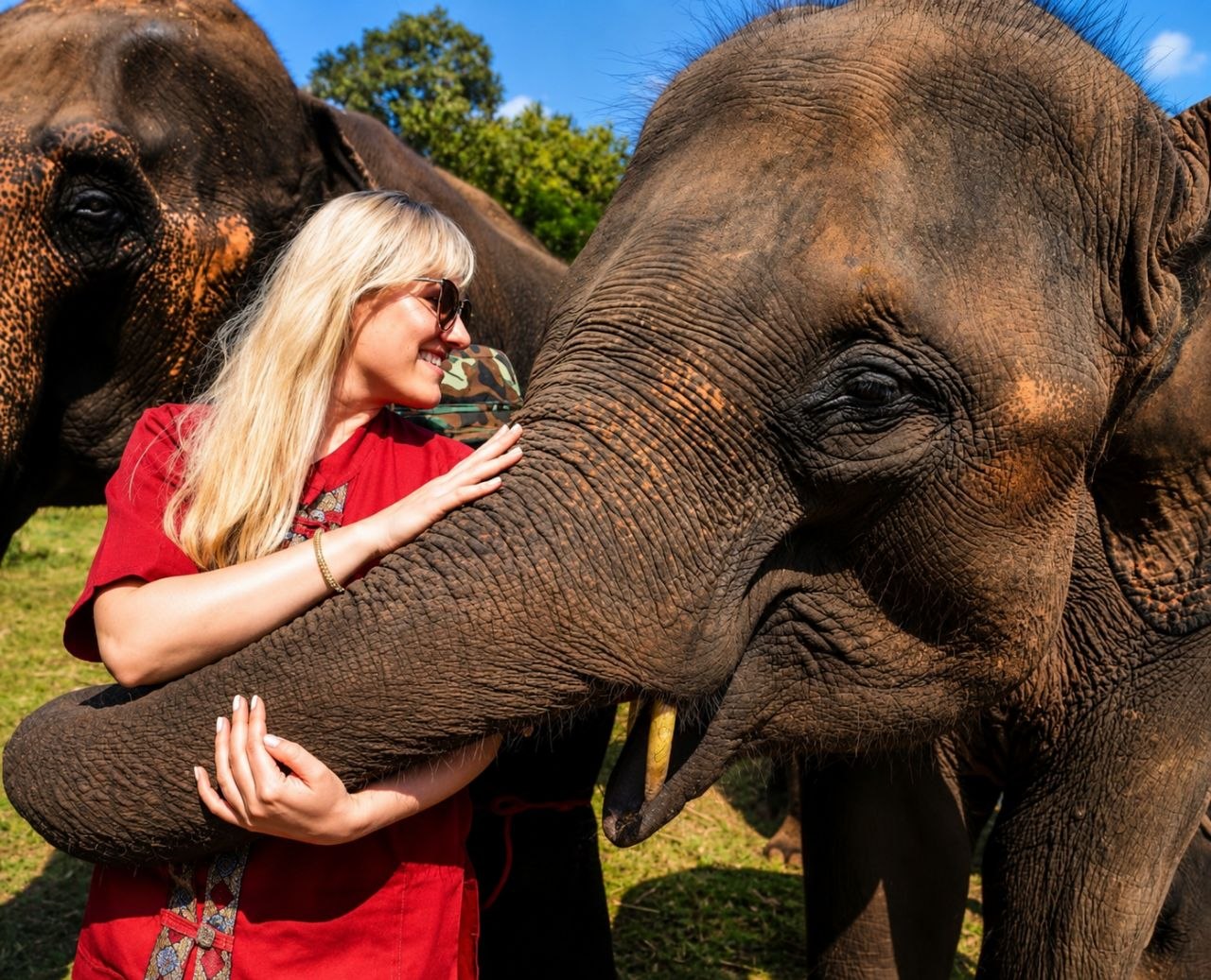 Plai Ming the elephant